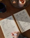 Motherboard Planner (Undated): Pre-Sale Ships June 8